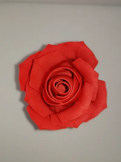 https://makerworld.bblmw.com/makerworld/model/180402/198498/ratings/3e616bf0-02ba-11f0-b19e-dfe1820cede8.jpg