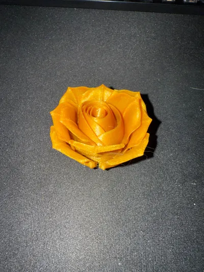 https://makerworld.bblmw.com/makerworld/model/180402/198498/ratings/72d708c0-1c4d-11f0-9e98-d97056bc8652.jpg