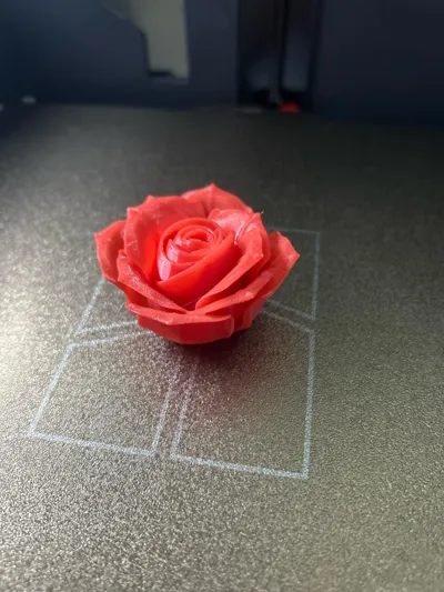 https://makerworld.bblmw.com/makerworld/model/180402/198498/ratings/73299ef0-b874-11f0-a917-05f9a7a55bdf.jpg