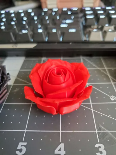https://makerworld.bblmw.com/makerworld/model/180402/198498/ratings/a08af740-f64a-11f0-b0e1-1914c62f9f8c.jpg