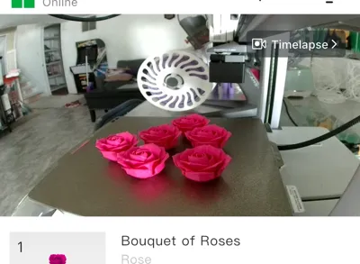 https://makerworld.bblmw.com/makerworld/model/180402/198498/ratings/b1c8ac40-2aae-11f0-a065-b9b59de873b5.jpg