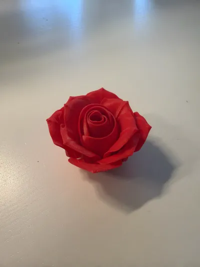 https://makerworld.bblmw.com/makerworld/model/180402/198498/ratings/dead5190-d11e-11f0-adde-f7f2786d8b35.jpg