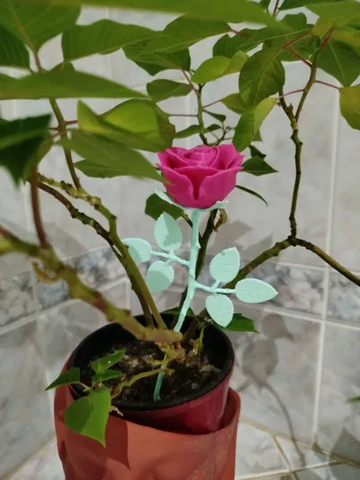 https://makerworld.bblmw.com/makerworld/model/180402/198498/ratings/e69addf0-2d09-11f0-9c5c-1d85a872ca66.jpg