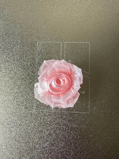https://makerworld.bblmw.com/makerworld/model/180402/198498/ratings/ed2f16e0-4528-11f0-a26c-076dd0c8e409.jpg