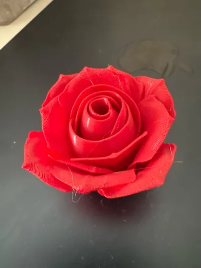 https://makerworld.bblmw.com/makerworld/model/180402/198498/ratings/f70d2fa0-704b-11f0-b05b-3b2b9cca363e.jpg