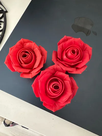 https://makerworld.bblmw.com/makerworld/model/180402/198498/ratings/f70d56b0-704b-11f0-b05b-3b2b9cca363e.jpg