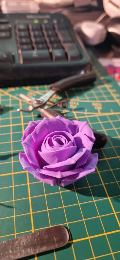 https://makerworld.bblmw.com/makerworld/model/180402/198515/ratings/366f1be0-c8c1-11f0-84d5-f7268dc16db2.jpg
