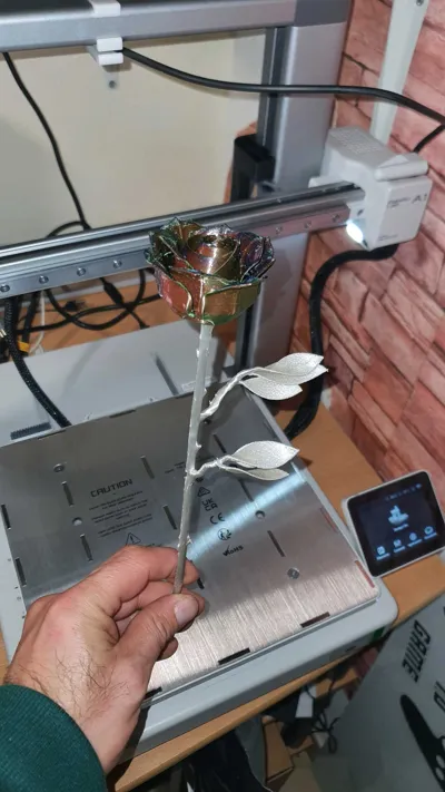 https://makerworld.bblmw.com/makerworld/model/180402/253293/ratings/d8e86470-bdbe-11f0-87ae-25e7a2602ffa.jpg
