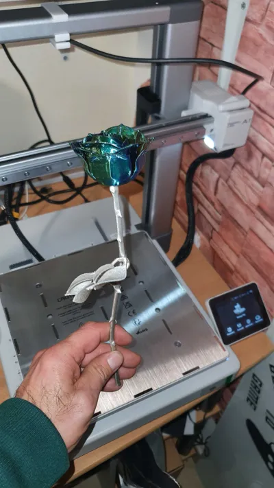 https://makerworld.bblmw.com/makerworld/model/180402/253293/ratings/d8f0c8e0-bdbe-11f0-87ae-25e7a2602ffa.jpg