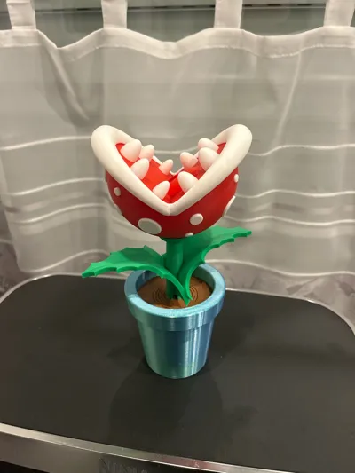 https://makerworld.bblmw.com/makerworld/model/1804673/1924737/ratings/a0602f00-c7ed-11f0-b09e-413f6bd98832.jpg