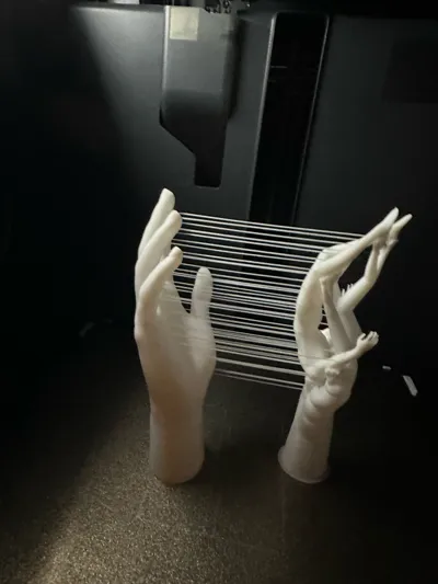 https://makerworld.bblmw.com/makerworld/model/1806217/1926541/ratings/6178cdc0-a26c-11f0-b9cd-7d4190d6f599.jpg