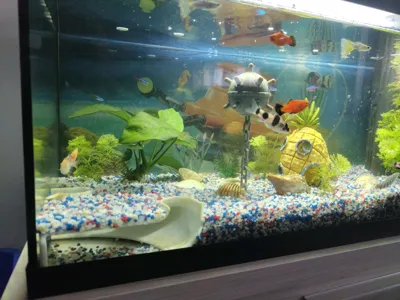 https://makerworld.bblmw.com/makerworld/model/180646/1012676/ratings/3eb0c7e0-4dce-11f0-8ae3-31e36fd48cf8.jpg