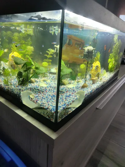 https://makerworld.bblmw.com/makerworld/model/180646/1012676/ratings/3eb11600-4dce-11f0-8ae3-31e36fd48cf8.jpg