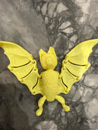 https://makerworld.bblmw.com/makerworld/model/1806782/1927189/ratings/f9009da0-bddb-11f0-9985-73bed9646f28.jpg