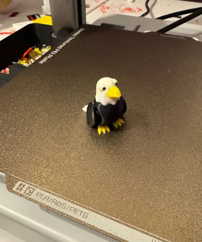 https://makerworld.bblmw.com/makerworld/model/1806795/1927193/ratings/689a1600-dc6d-11f0-920c-65b95141fc0f.jpg