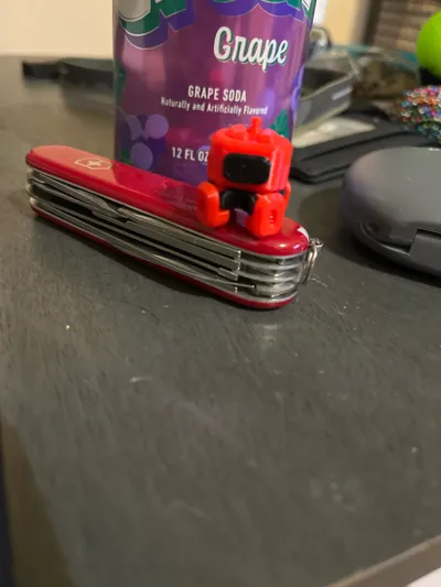 https://makerworld.bblmw.com/makerworld/model/1807886/1928393/ratings/82e20320-95b3-11f0-8a1f-1de37a545d55.jpg