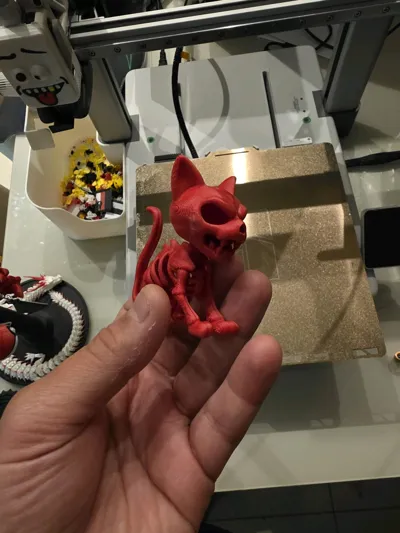 https://makerworld.bblmw.com/makerworld/model/1809043/1929665/ratings/f784fed0-9cd9-11f0-aa5f-790be5ad0788.jpg