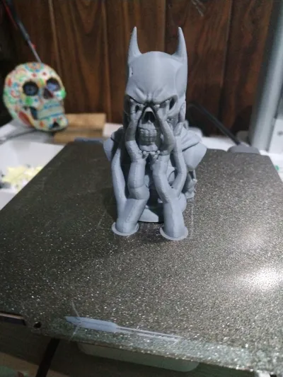 https://makerworld.bblmw.com/makerworld/model/1809069/1929718/ratings/4169d820-9732-11f0-b9f6-4d8c2cd2fb8b.jpg