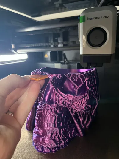 https://makerworld.bblmw.com/makerworld/model/1809418/1930132/ratings/19bade80-b7eb-11f0-aaa5-09c4127a238a.jpg