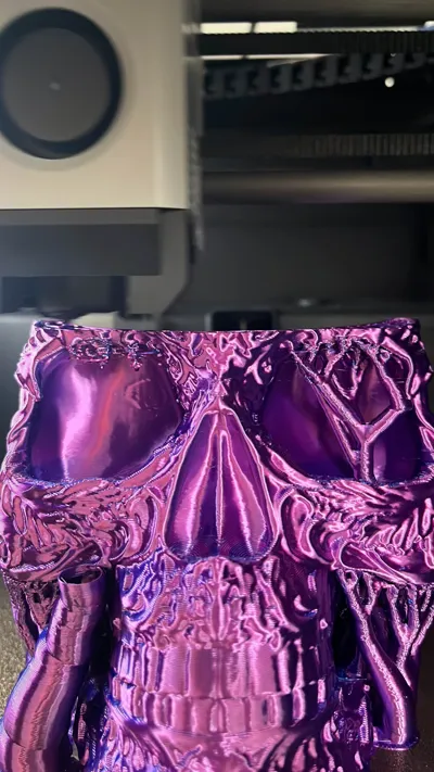 https://makerworld.bblmw.com/makerworld/model/1809418/1930132/ratings/19ce1860-b7eb-11f0-aaa5-09c4127a238a.jpg