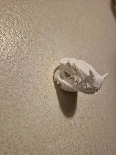 https://makerworld.bblmw.com/makerworld/model/1811415/1932566/ratings/0a143e60-e601-11f0-a49f-3b1213142bf0.jpg