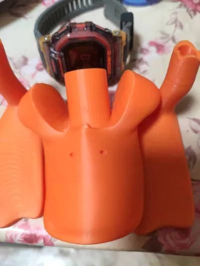 https://makerworld.bblmw.com/makerworld/model/1811917/1933152/ratings/0fe35350-d7a4-11f0-ae43-eb18f46522fe.jpg