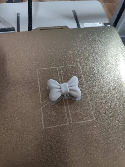 https://makerworld.bblmw.com/makerworld/model/1811917/1933152/ratings/0fe3c880-d7a4-11f0-ae43-eb18f46522fe.jpg
