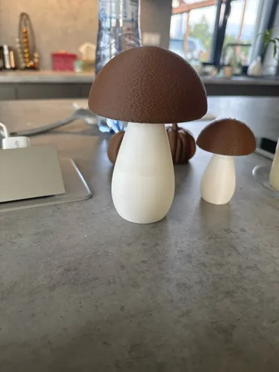https://makerworld.bblmw.com/makerworld/model/1813158/1934578/ratings/f02e7cd0-977d-11f0-9675-d3c7d7d985d9.jpg