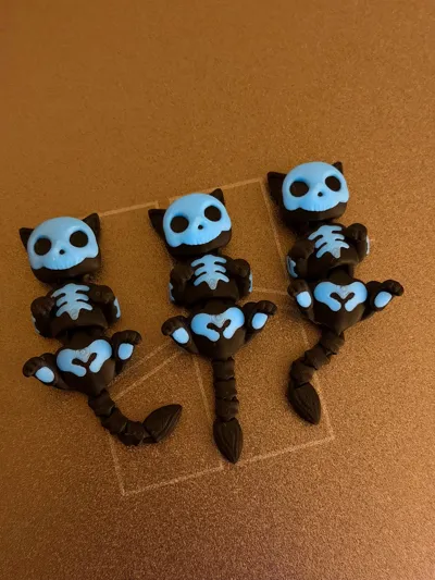 https://makerworld.bblmw.com/makerworld/model/1813944/1942483/ratings/165a2900-b456-11f0-a3a5-e5c8f2bd3214.jpg