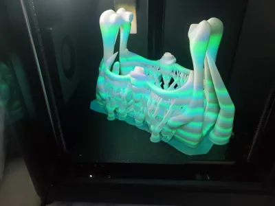 https://makerworld.bblmw.com/makerworld/model/1813947/1935467/ratings/1c967210-a943-11f0-80b1-d1539fd1cdfa.jpg