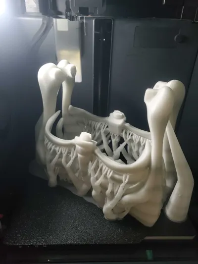 https://makerworld.bblmw.com/makerworld/model/1813947/1935467/ratings/1cb4cf80-a943-11f0-80b1-d1539fd1cdfa.jpg