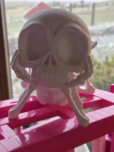 https://makerworld.bblmw.com/makerworld/model/1815363/1937140/ratings/22ae95b0-f3c1-11f0-bc0f-6308fc387748.jpg
