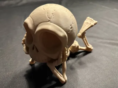https://makerworld.bblmw.com/makerworld/model/1815363/1937140/ratings/44d98ef0-b538-11f0-9722-8b800356fc34.jpg