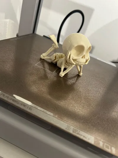 https://makerworld.bblmw.com/makerworld/model/1815363/1954239/ratings/1c0adb60-bb40-11f0-9096-23cc04fc512b.jpg