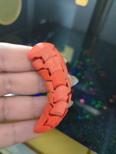 https://makerworld.bblmw.com/makerworld/model/1816827/1938879/ratings/c3426500-ef17-11f0-a543-9145658635c2.jpg