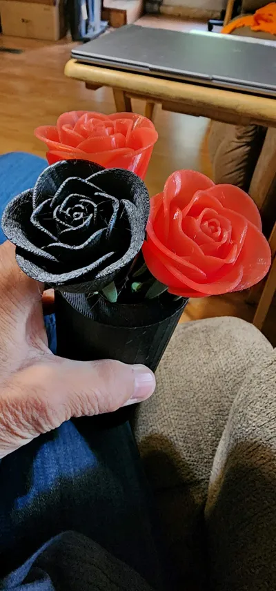 https://makerworld.bblmw.com/makerworld/model/1816863/1939451/ratings/f1f0f9c0-a2b4-11f0-a368-b7f0fa18c071.jpg