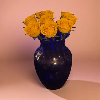 https://makerworld.bblmw.com/makerworld/model/1816863/1952542/ratings/57ea4b00-c3fd-11f0-b489-595428badf98.jpg