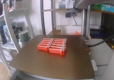 https://makerworld.bblmw.com/makerworld/model/181699/621117/ratings/50c0f930-2382-11f0-93a1-11f2b48708eb.jpg