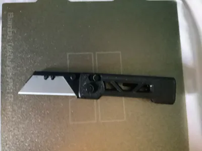 https://makerworld.bblmw.com/makerworld/model/1818408/1940723/ratings/793db5f0-df3a-11f0-9ce4-cf98182c1efa.jpg