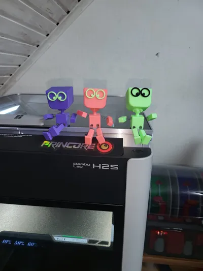 https://makerworld.bblmw.com/makerworld/model/1819535/1942042/ratings/2025-11-23_69d32fa9d52a98.jpeg