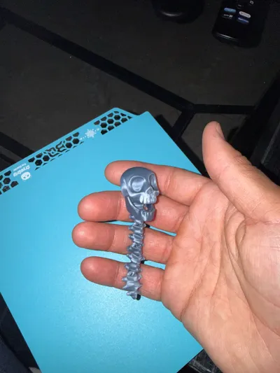 https://makerworld.bblmw.com/makerworld/model/1820035/1942640/ratings/fc11eef0-9981-11f0-bb8a-071a3a8baa2a.jpg