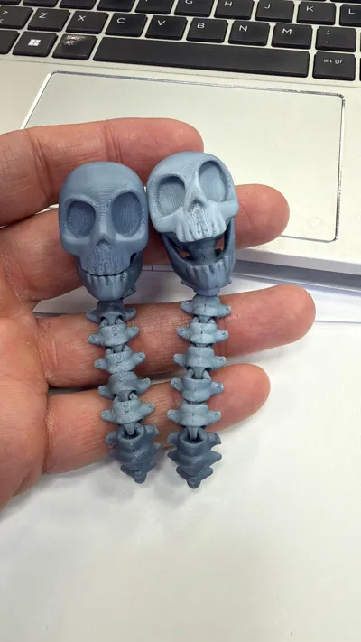 https://makerworld.bblmw.com/makerworld/model/1820035/1942644/ratings/16decbb0-9bd3-11f0-a490-f7205eee1d83.jpg