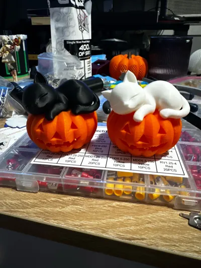 https://makerworld.bblmw.com/makerworld/model/1820084/1948270/ratings/39060990-a5c6-11f0-980c-6bbf7b22f1e7.jpg