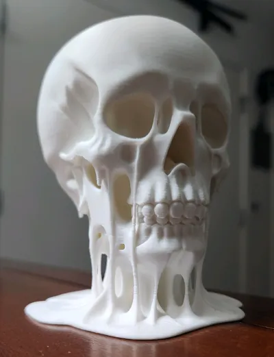 https://makerworld.bblmw.com/makerworld/model/1820090/1942703/ratings/422c50c0-f809-11f0-8739-f96535fbba6b.jpg