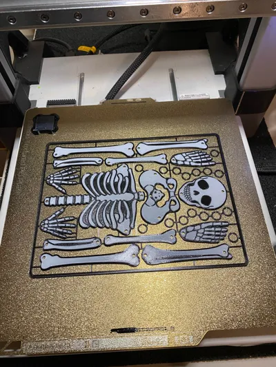 https://makerworld.bblmw.com/makerworld/model/1820551/1943235/ratings/86b4a460-fadc-11f0-9bb9-df64992f3aba.jpg
