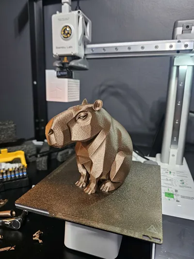 https://makerworld.bblmw.com/makerworld/model/1821454/1944277/ratings/b986b3a0-d7c4-11f0-9386-5f64664d2151.jpg