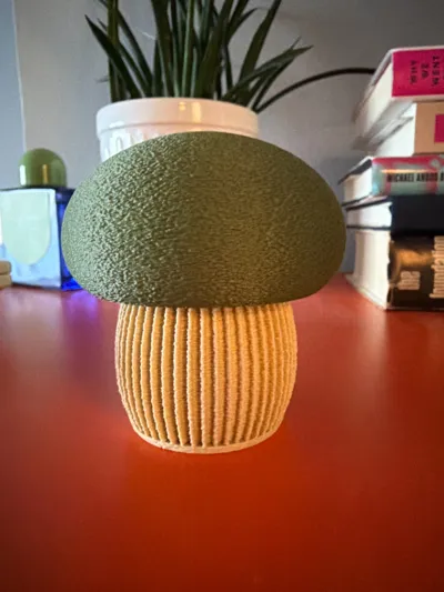 https://makerworld.bblmw.com/makerworld/model/1821679/1944539/ratings/516fafc0-c233-11f0-a5f9-df3d20bbabc6.jpg