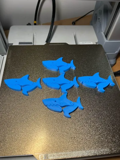 https://makerworld.bblmw.com/makerworld/model/1823301/1946334/ratings/3ab72450-bb64-11f0-9091-4185a2601d8c.jpg