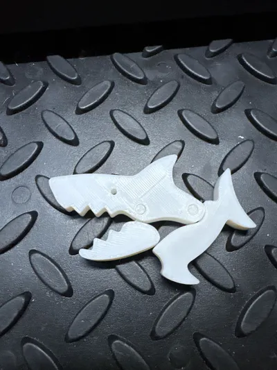 https://makerworld.bblmw.com/makerworld/model/1823301/1946334/ratings/9b4a98b0-9986-11f0-98da-3342ffb5568f.jpg