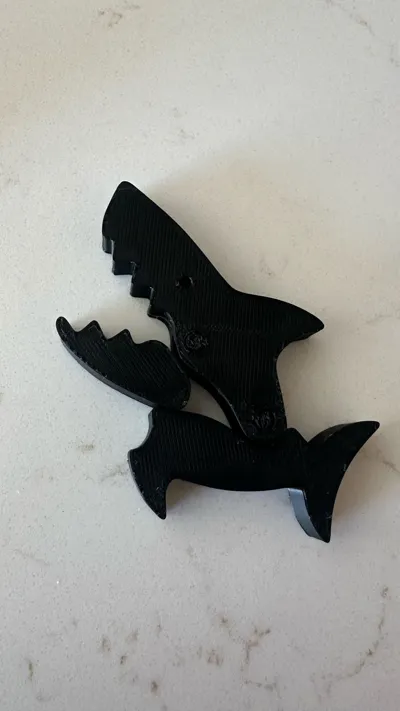 https://makerworld.bblmw.com/makerworld/model/1823301/1946334/ratings/9c58a290-b6ac-11f0-9381-f711122efed2.jpg